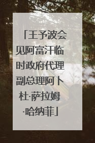 王予波会见阿富汗临时政府代理副总理阿卜杜·萨拉姆·哈纳菲