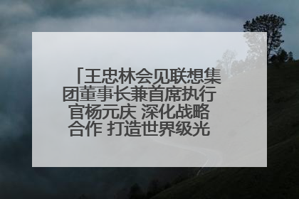 王忠林会见联想集团董事长兼首席执行官杨元庆 深化战略合作 打造世界级光电子信息产业集群
