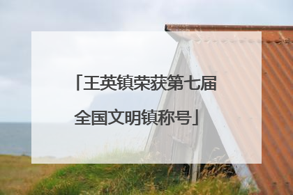 王英镇荣获第七届全国文明镇称号