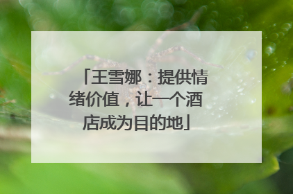 王雪娜：提供情绪价值，让一个酒店成为目的地