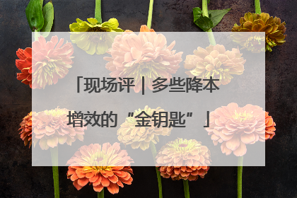 现场评｜多些降本增效的“金钥匙”