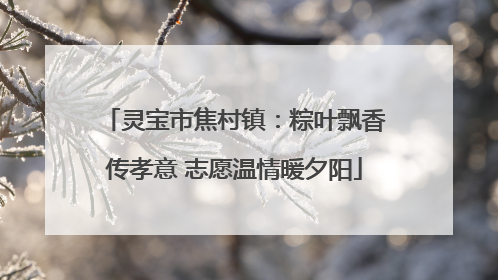 灵宝市焦村镇：粽叶飘香传孝意 志愿温情暖夕阳