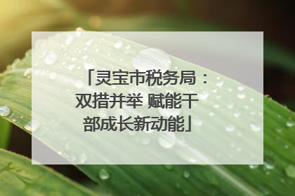 灵宝市税务局：双措并举 赋能干部成长新动能