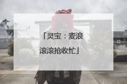 灵宝：麦浪滚滚抢收忙