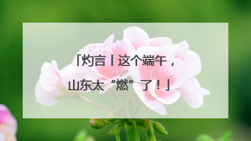 灼言丨这个端午，山东太“燃”了！