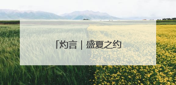 灼言｜盛夏之约 “集”结精彩