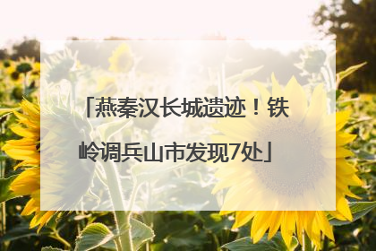 燕秦汉长城遗迹！铁岭调兵山市发现7处