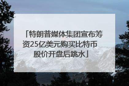 特朗普媒体集团宣布筹资25亿美元购买比特币 股价开盘后跳水