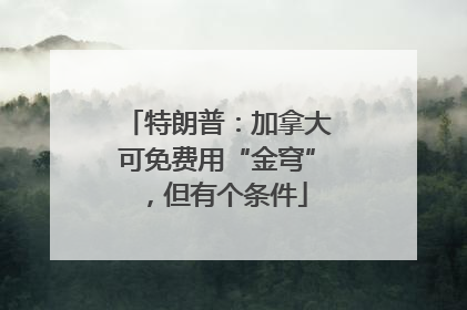 特朗普：加拿大可免费用“金穹”，但有个条件