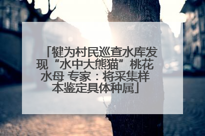 犍为村民巡查水库发现“水中大熊猫”桃花水母 专家：将采集样本鉴定具体种属