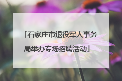 石家庄市退役军人事务局举办专场招聘活动