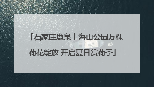 石家庄鹿泉丨海山公园万株荷花绽放 开启夏日赏荷季