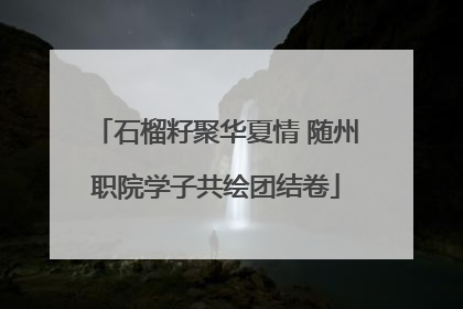 石榴籽聚华夏情 随州职院学子共绘团结卷