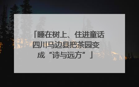 睡在树上、住进童话 四川马边县把茶园变成“诗与远方”