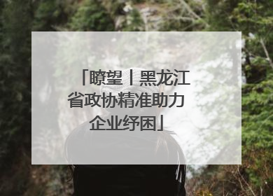 瞭望丨黑龙江省政协精准助力企业纾困