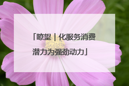 瞭望｜化服务消费潜力为强劲动力