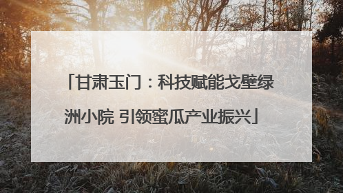 甘肃玉门：科技赋能戈壁绿洲小院 引领蜜瓜产业振兴