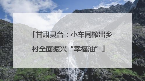 甘肃灵台：小车间榨出乡村全面振兴“幸福油”