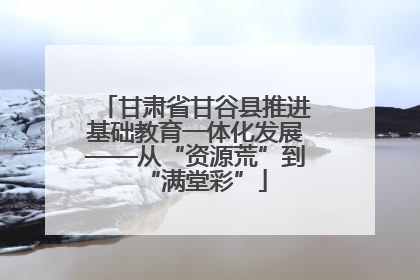 甘肃省甘谷县推进基础教育一体化发展——从“资源荒”到“满堂彩”