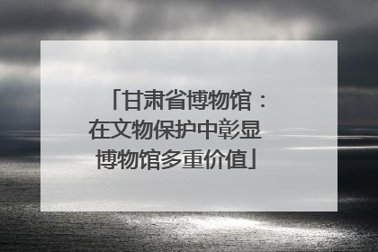 甘肃省博物馆：在文物保护中彰显博物馆多重价值