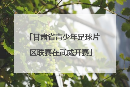 甘肃省青少年足球片区联赛在武威开赛