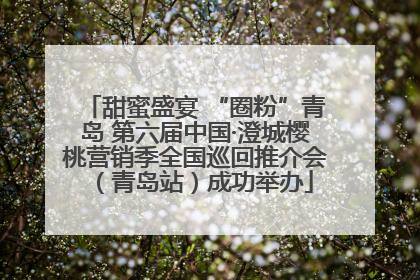 甜蜜盛宴 “圈粉”青岛 第六届中国·澄城樱桃营销季全国巡回推介会（青岛站）成功举办