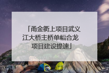 甬金衢上项目武义江大桥主桥单幅合龙 项目建设提速