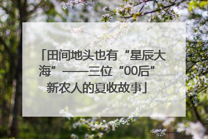 田间地头也有“星辰大海”——三位“00后”新农人的夏收故事
