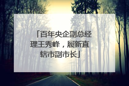百年央企副总经理王秀峰，履新直辖市副市长