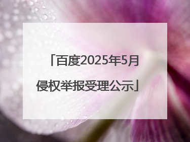 百度2025年5月侵权举报受理公示