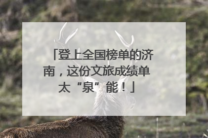 登上全国榜单的济南，这份文旅成绩单太“泉”能！