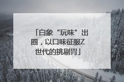 白象“玩味”出圈，以口味征服Z世代的挑剔胃