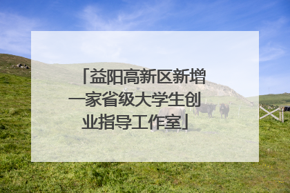 益阳高新区新增一家省级大学生创业指导工作室