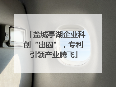 盐城亭湖企业科创“出圈”，专利引领产业腾飞