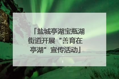 盐城亭湖宝瓶湖街道开展“善育在亭湖”宣传活动