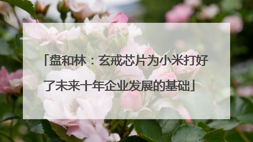 盘和林：玄戒芯片为小米打好了未来十年企业发展的基础