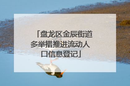 盘龙区金辰街道多举措推进流动人口信息登记