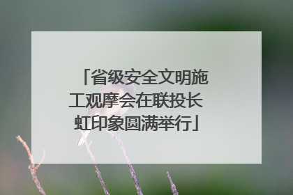 省级安全文明施工观摩会在联投长虹印象圆满举行