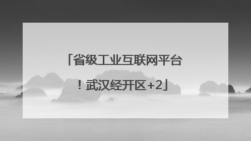 省级工业互联网平台！武汉经开区+2