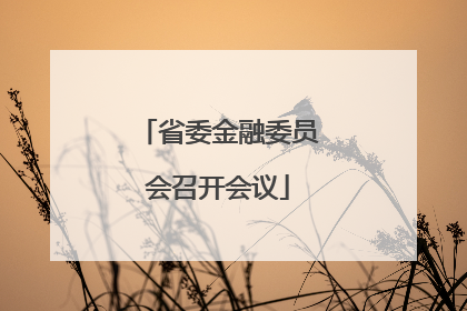 省委金融委员会召开会议