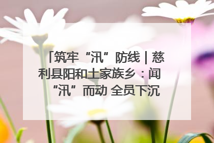 筑牢“汛”防线｜慈利县阳和土家族乡：闻“汛”而动 全员下沉筑牢防汛“安全堤”