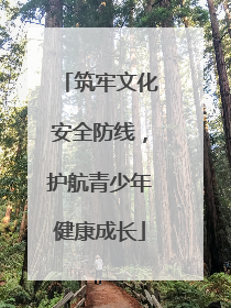 筑牢文化安全防线，护航青少年健康成长