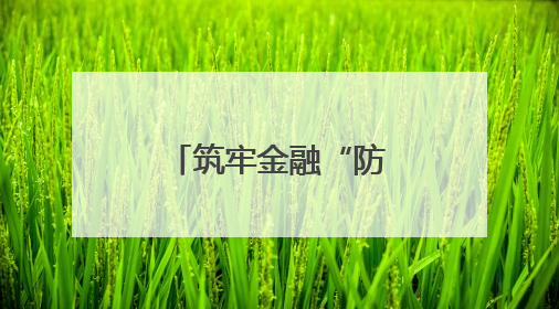 筑牢金融“防护网” 守护万家“钱袋子”