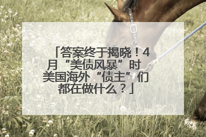 答案终于揭晓！4月“美债风暴”时 美国海外“债主”们都在做什么？