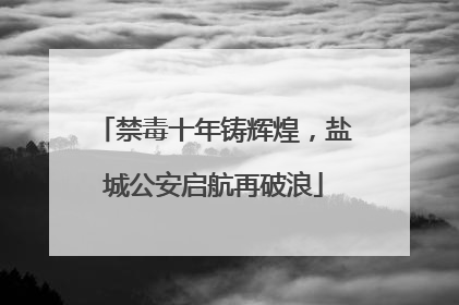 禁毒十年铸辉煌，盐城公安启航再破浪