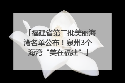 福建省第二批美丽海湾名单公布！泉州3个海湾“美在福建”