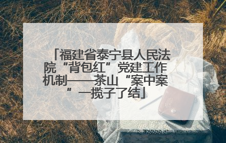 福建省泰宁县人民法院“背包红”党建工作机制——茶山“案中案”一揽子了结