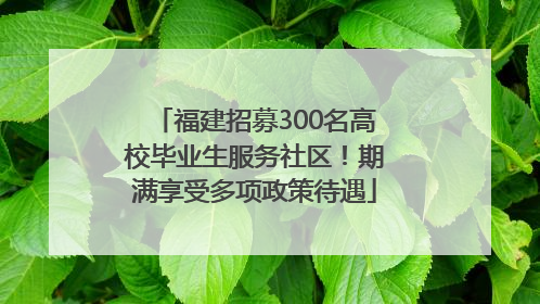 福建招募300名高校毕业生服务社区！期满享受多项政策待遇
