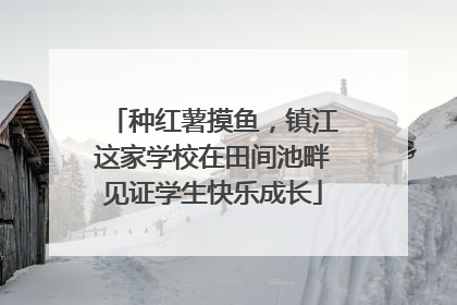 种红薯摸鱼，镇江这家学校在田间池畔见证学生快乐成长