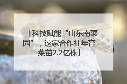 科技赋能“山东南菜园”，这家合作社年育菜苗2.2亿株